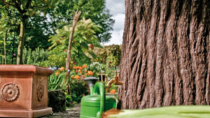 Evergreen Tree Trunk Water Butt – 475 Litres - Freeflush Rainwater Harvesting Ltd. 
