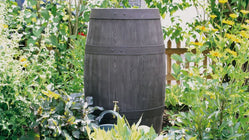 Barrique Water Butt – 250 Litres - Freeflush Rainwater Harvesting Ltd. 