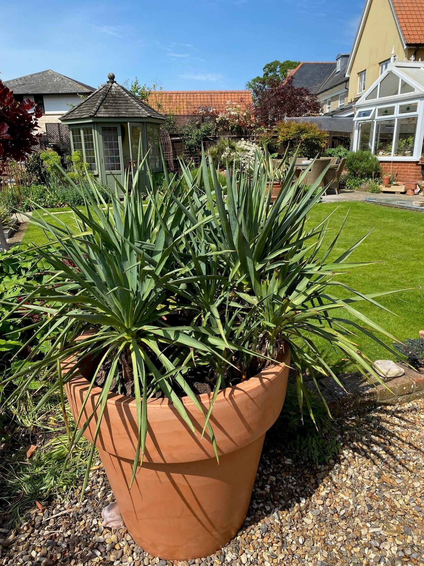 250 litre plant pots 250 litre Prestige large Plant Pot style planter