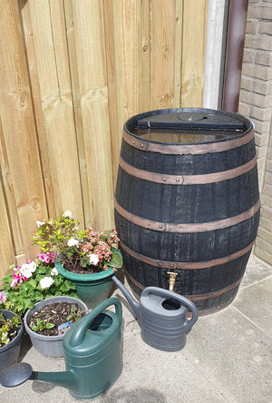 235 litre Barrico Hogshead rain water barrel water butt