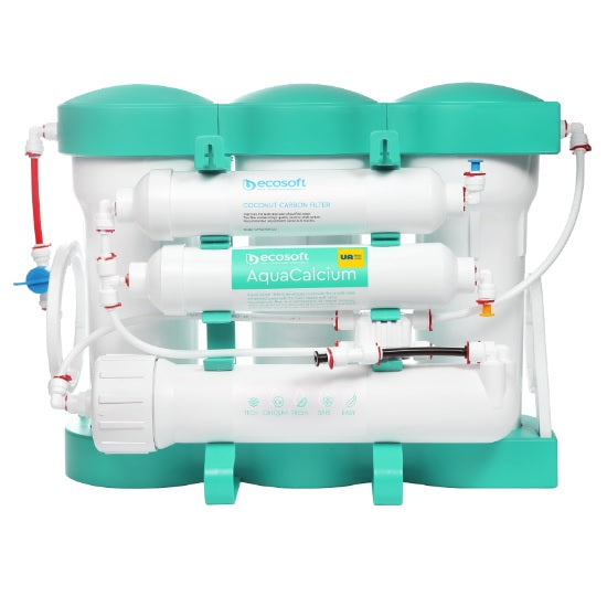 Ecosoft P’ure AquaCalcium Reverse Osmosis Filter