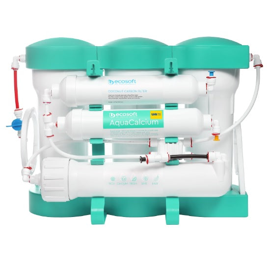 Ecosoft P’ure AquaCalcium Reverse Osmosis Filter