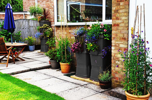 Rainwater Terrace Double 2 Tier 268 Litre Water Butt - Freeflush Rainwater Harvesting Ltd. 