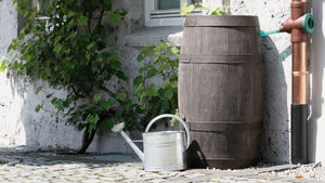 Barrique Water Butt – 250 Litres - Freeflush Rainwater Harvesting Ltd. 