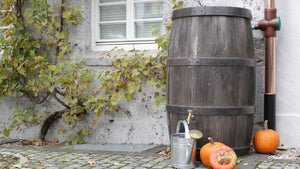 Burgundy Barrel Water Butt – 500 Litres - Freeflush Rainwater Harvesting Ltd. 
