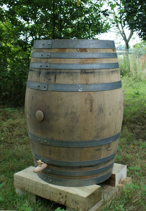 Real Oak Wine Barrel Water Butt 225 Litre - Freeflush Rainwater Harvesting Ltd. 