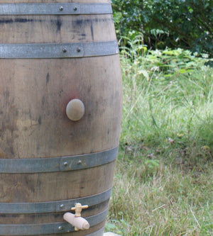 Real Oak Wine Barrel Water Butt 225 Litre - Freeflush Rainwater Harvesting Ltd. 
