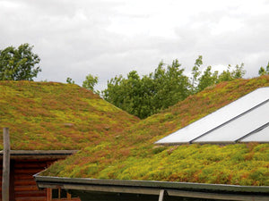 Green Roof sedum tray - pre planted option - Freeflush Rainwater Harvesting Ltd. 