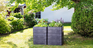 Ergo Quadro Raised Bed Planters