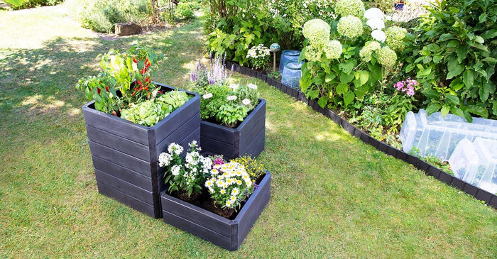 Ergo Quadro Raised Bed Planters