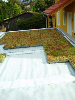 Green Roof sedum tray - pre planted option - Freeflush Rainwater Harvesting Ltd. 