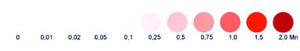 Quick Test Kit for Manganese (Mn) (1 test)