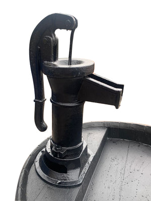 Cast Iron Pitcher Working Hand Pump with suction hose