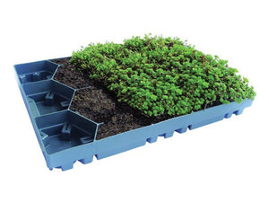 Green Roof sedum tray - pre planted option - Freeflush Rainwater Harvesting Ltd. 