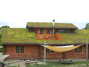 Green Roof sedum tray - pre planted option - Freeflush Rainwater Harvesting Ltd. 